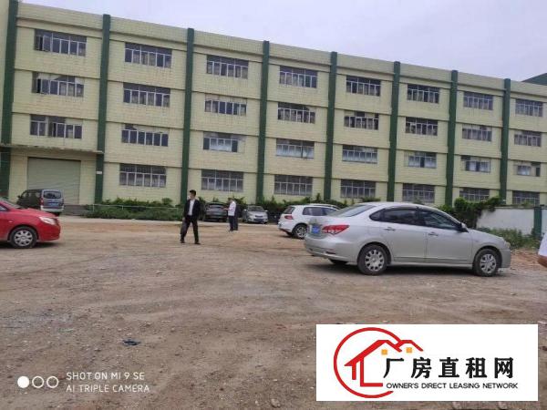  塘厦大坪高速出口10000平独院物流仓库厂房出租可分租