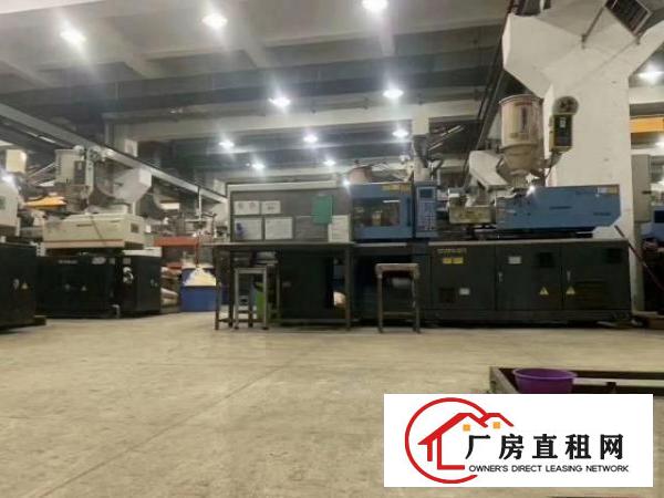  东莞塘厦大坪高速出口58000平漂亮厂房出租层高6.5米独院