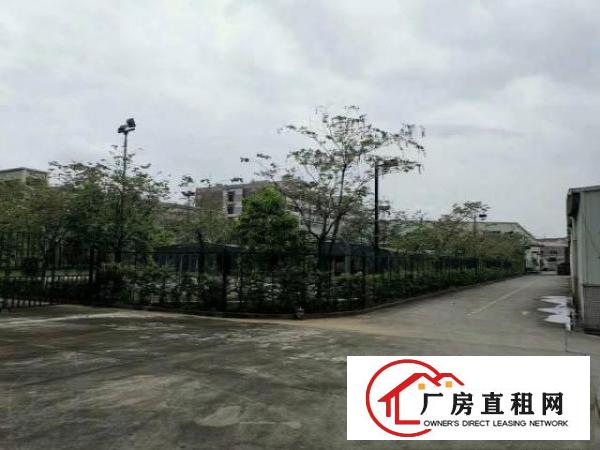  东莞塘厦大坪高速出口58000平漂亮厂房出租层高6.5米独院