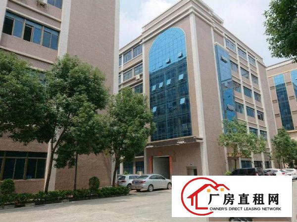  塘厦沙湖原房东带装修厂房1800平米每层出租形象好