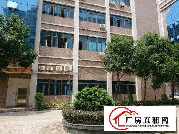  塘厦沙湖原房东带装修厂房1800平米每层出租形象好