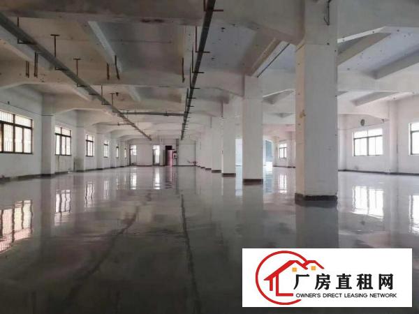  塘厦厂房出租二楼1350平带装修，带房产证，可做电池!