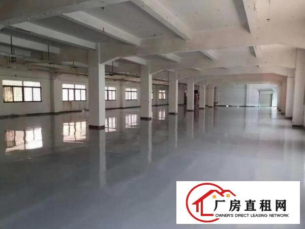  塘厦厂房出租二楼1350平带装修，带房产证，可做电池!