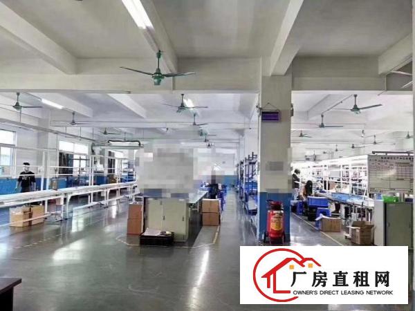  （小独院出租）清溪原房东独院厂房出租800平，带装修