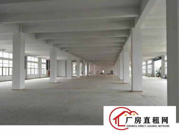  诸佛岭独院三楼1500平实际面积出租，豪华装修，价格实惠