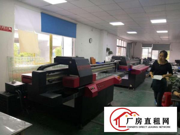  塘厦桥陇新出一楼450平，带精装，形象好，交通方便