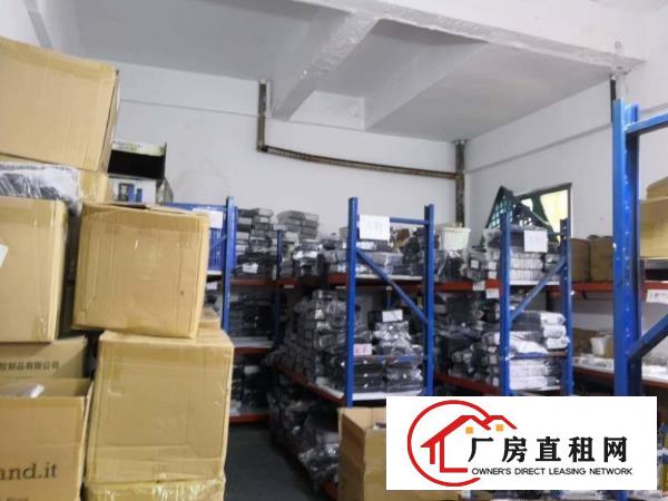  塘厦桥陇新出一楼450平，带精装，形象好，交通方便