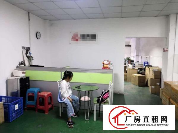  塘厦桥陇新出一楼450平，带精装，形象好，交通方便
