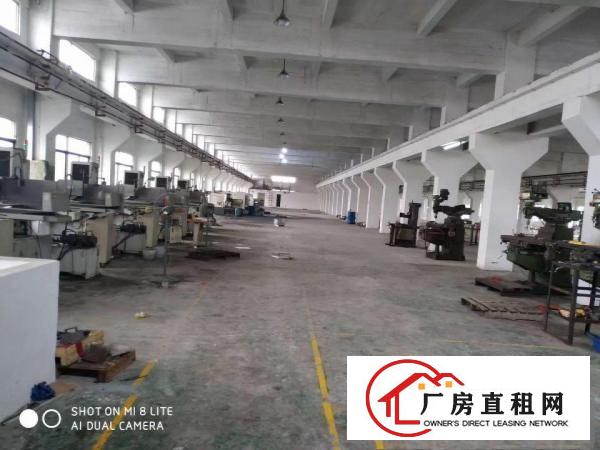  塘厦科苑城新出一楼2000平，带行车，无公摊仅租18原房东