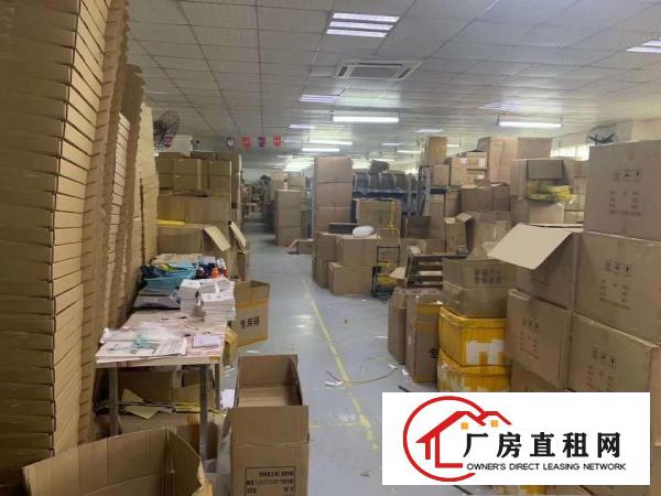 塘厦林村标准厂房一楼500平米红本厂房玻璃隔间多个水电齐全