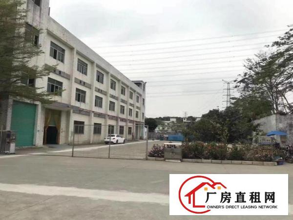  塘厦沙湖原房东，1楼560平现成主线,靠近高速口，