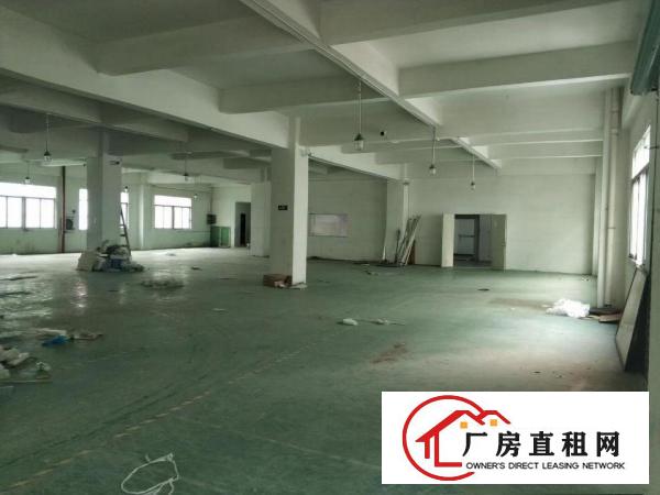  塘厦沙湖原房东，1楼560平现成主线,靠近高速口，