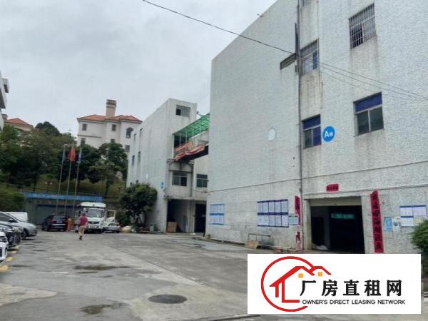  塘厦桥陇独院楼上新空出1000平标准厂房，水电齐全，形象干净