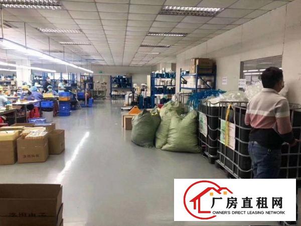  塘厦镇独门独院厂房出租