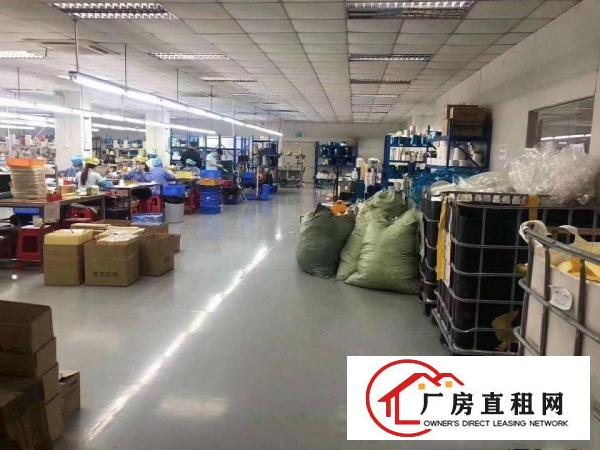 塘厦镇独门独院厂房出租