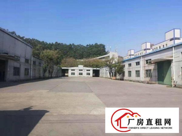  塘厦莲湖单一层厂房3000平米可分租空地大有装修