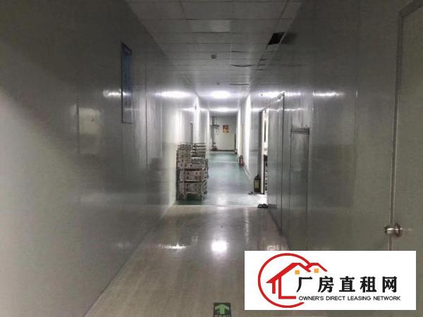  塘厦科苑城新出精品原房东楼上带精装修厂房可做电池地段优越
