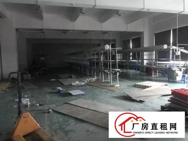  塘厦科苑城新出精品原房东楼上带精装修厂房可做电池地段优越