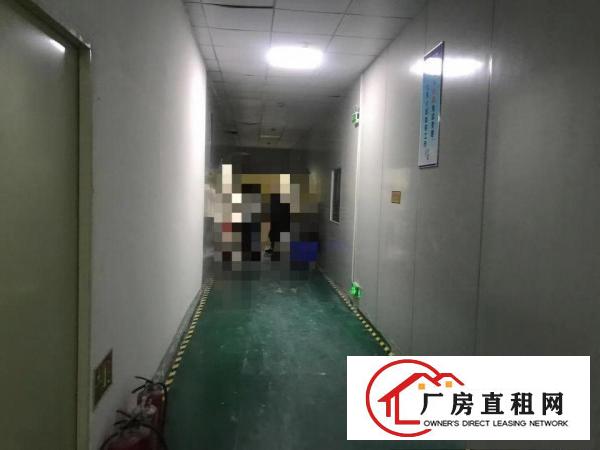  塘厦科苑城新出精品原房东楼上带精装修厂房可做电池地段优越