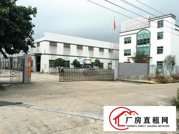  临深外环带独立写字楼超靓3600单一层标准厂房交通便利