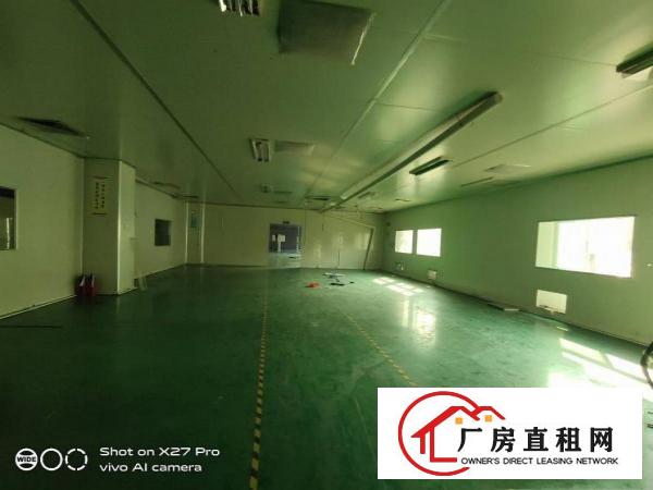  塘厦桥陇纱布街新出3楼1600平现成无尘车间医疗配件拎包入住