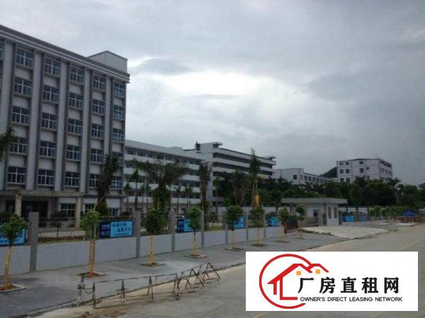  塘厦清湖头新出标厂楼上990平，现成装修，园区形象好，价格低