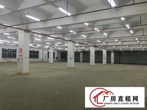  塘厦清湖头新出标厂楼上990平，现成装修，园区形象好，价格低
