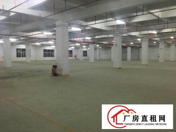  塘厦清湖头新出标厂楼上990平，现成装修，园区形象好，价格低