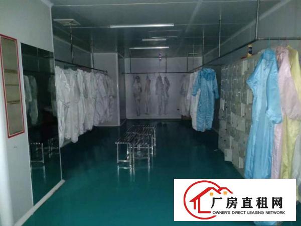  塘厦科苑城楼上分租2600平方无尘车间厂房出租。