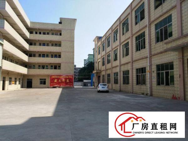  塘厦平山工业区标准1楼900平方！现成主线办公室装修