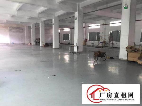  塘厦平山工业区标准1楼900平方！现成主线办公室装修