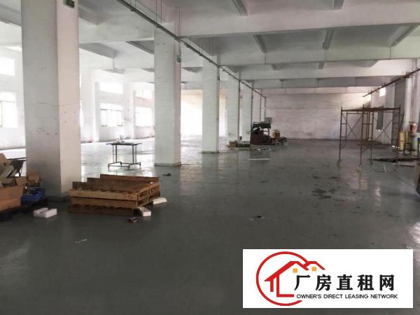  塘厦平山工业区标准1楼900平方！现成主线办公室装修