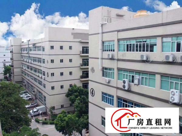  塘厦石马工业园靠牛湖三楼厂房1415平方