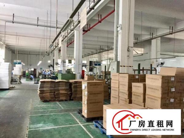  塘厦石鼓标准一楼6.5米1200平招租一手房东实际面积无公摊
