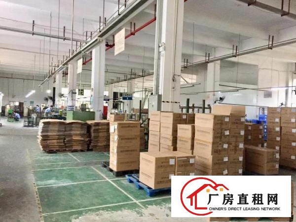  塘厦石鼓标准一楼6.5米1200平招租一手房东实际面积无公摊