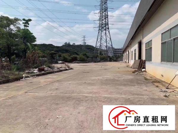  塘厦新出钢构原房东小独院面积2800平，滴水6米，进出便利