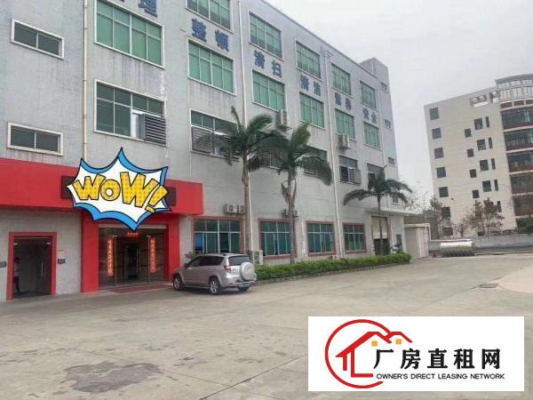  塘厦沙湖临深片区厂房出租一楼1700平方