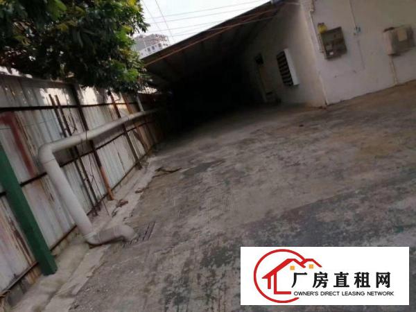  东莞市塘厦镇林村原房东独院钢构，价格美丽，地段优越，进出方便