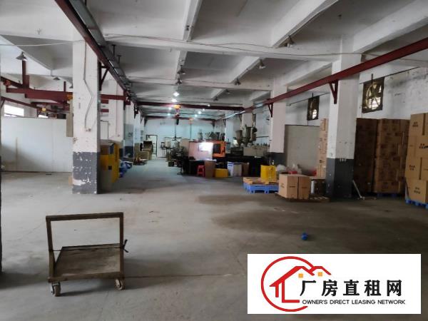  塘厦清湖头刚空出1310平一楼标准厂房，原房东现成装修配置