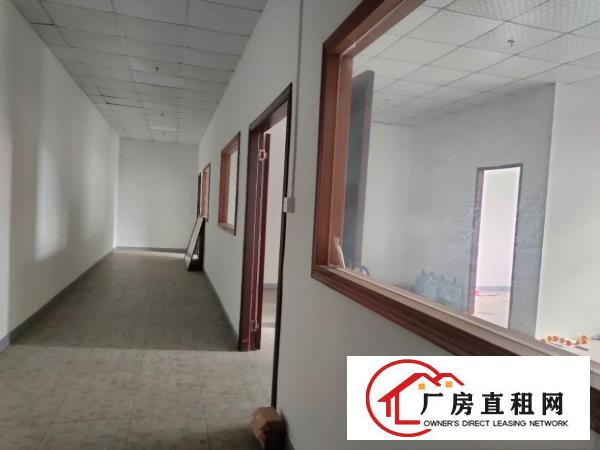  塘厦清湖头刚空出1310平一楼标准厂房，原房东现成装修配置