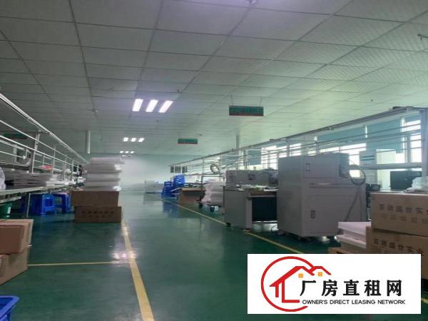  塘厦新出2900平，带地坪漆，中央空调，可做口罩，电池电子等