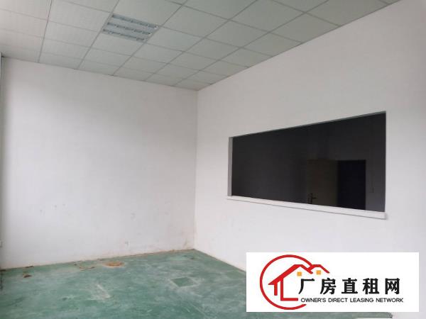  塘厦莆心湖现有1300平钢构厂房出租，无公摊价格美丽！