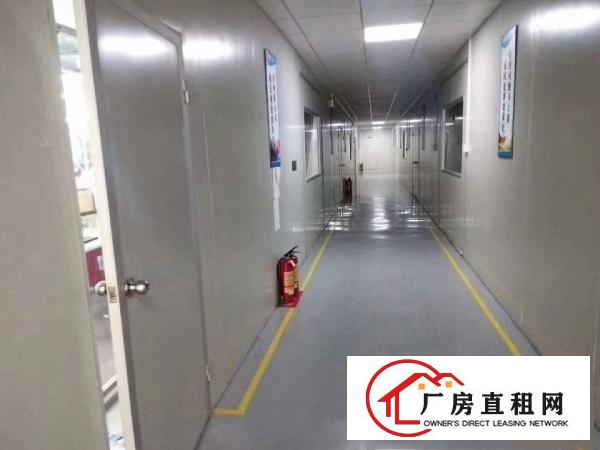  塘厦无尘车间厂房1300平方，现成装修，主线到位