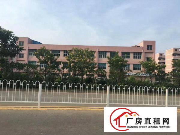  塘厦大坪四黎南路直达独院标准1楼850平方！高6米！现成水电