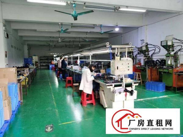  塘厦石潭蒲新出原房东无尘车间800平方