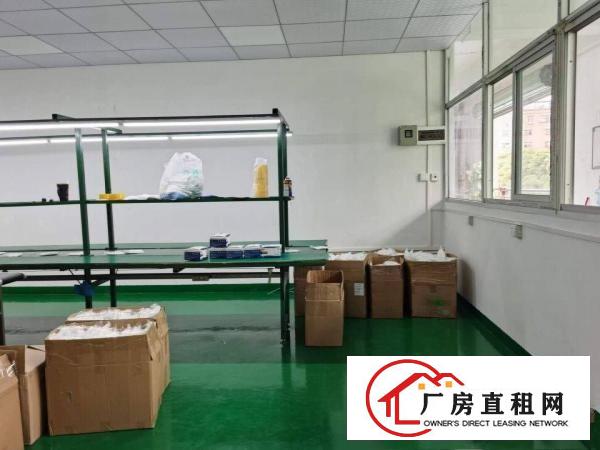  塘厦石潭蒲新出原房东无尘车间800平方