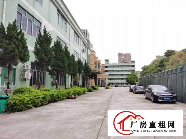  塘厦石潭蒲新出原房东无尘车间800平方