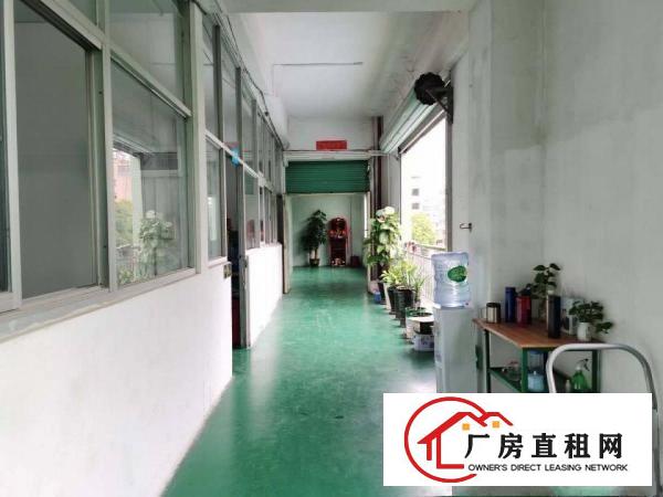  塘厦石潭蒲新出原房东无尘车间800平方