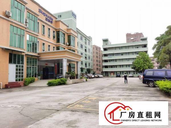  塘厦石潭蒲新出原房东无尘车间800平方
