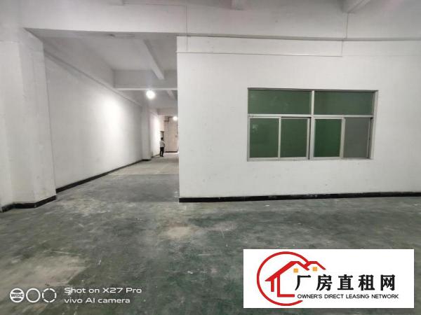  塘厦龙背岭新出标准一楼1200平方带牛角现成办公室低价